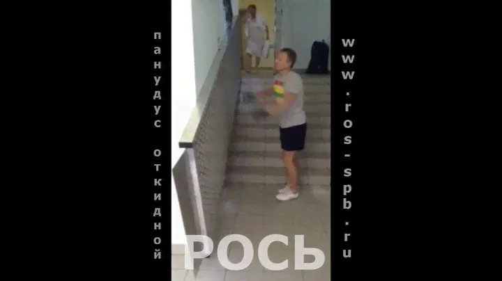 Откидной пандус из алюминия. Рось.